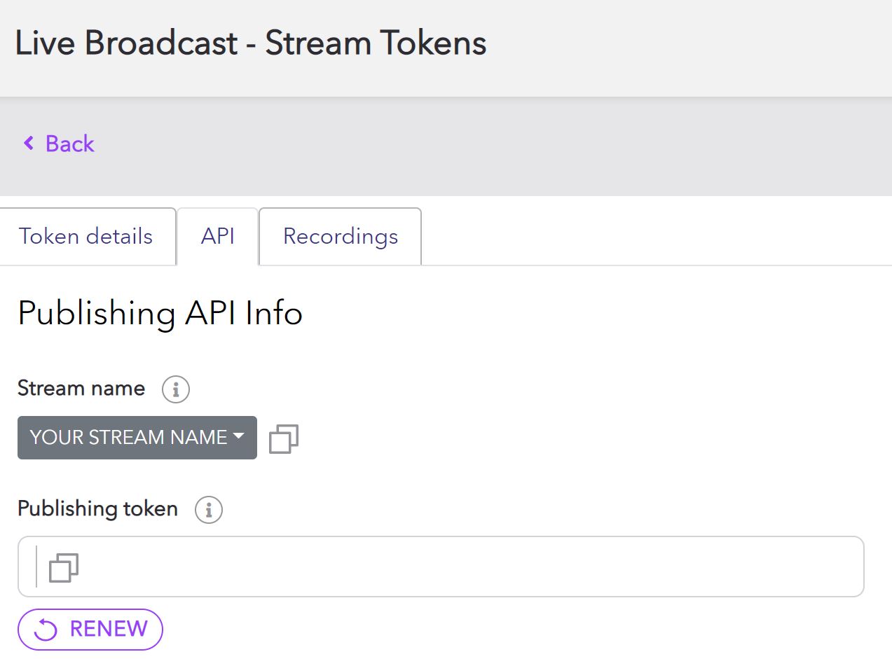 Image highlights the API tab of the newly created token where you can access your stream name and publishing token.