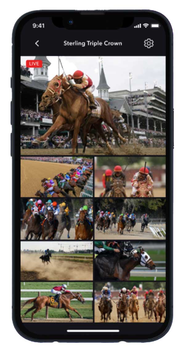 Live stream of a multiple simultaneous views of horses racing in a mobile phone